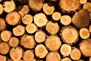 Holzfeuchtemessung Holzfeuchtemessung